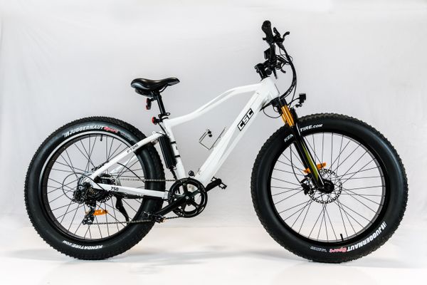 ebikes 750 watt