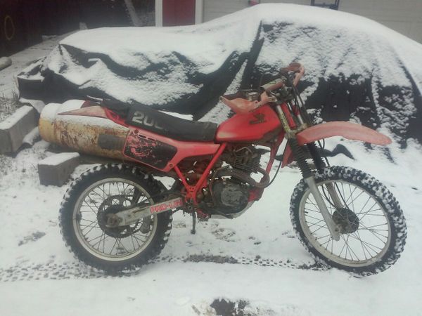 1981 xr200r