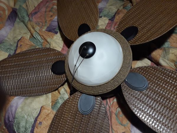 Intertek 50" ceiling fan and light for Sale in DeLand, FL ...