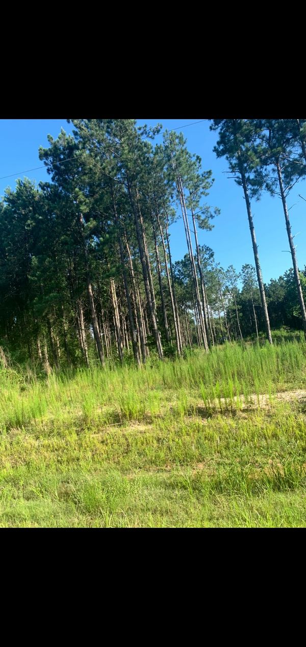 Terrenos for Sale in Houston, TX OfferUp