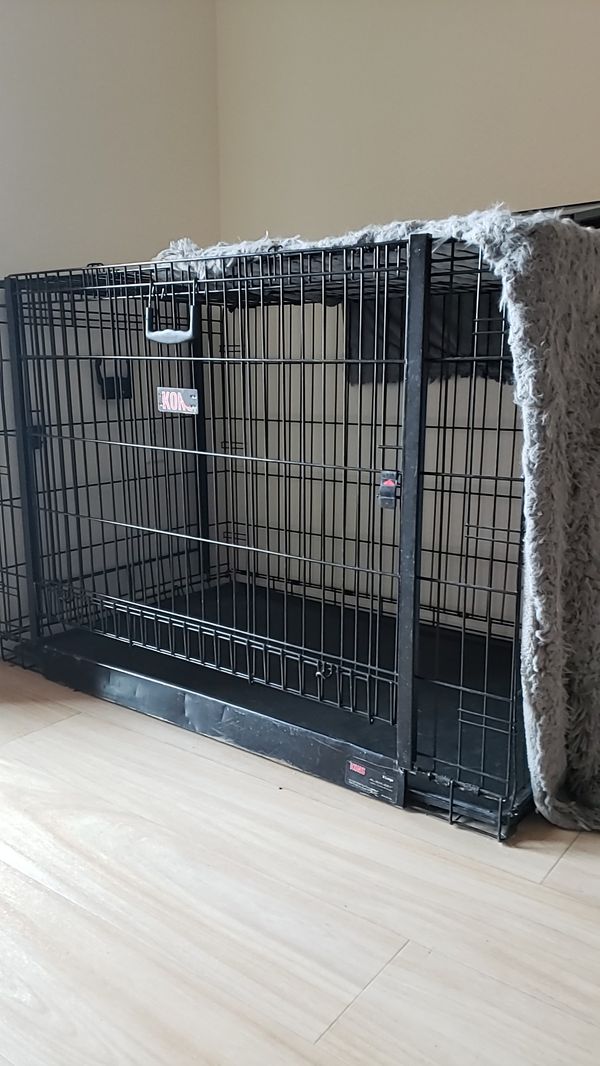 Kong XL Dog Kennel for Sale in Albuquerque, NM OfferUp