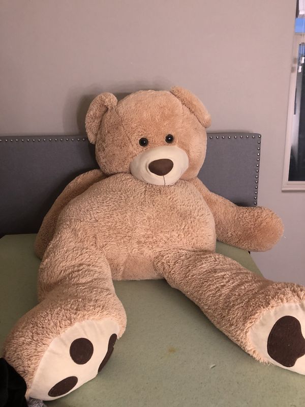 5 foot bear costco