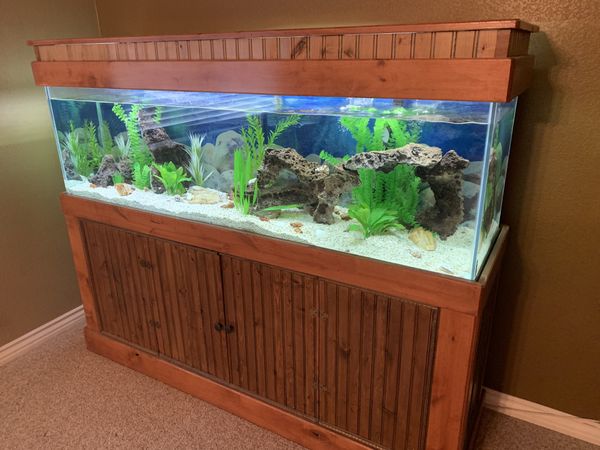 125 gallon fish tank with custom cabinet and canopy for Sale in Las ...