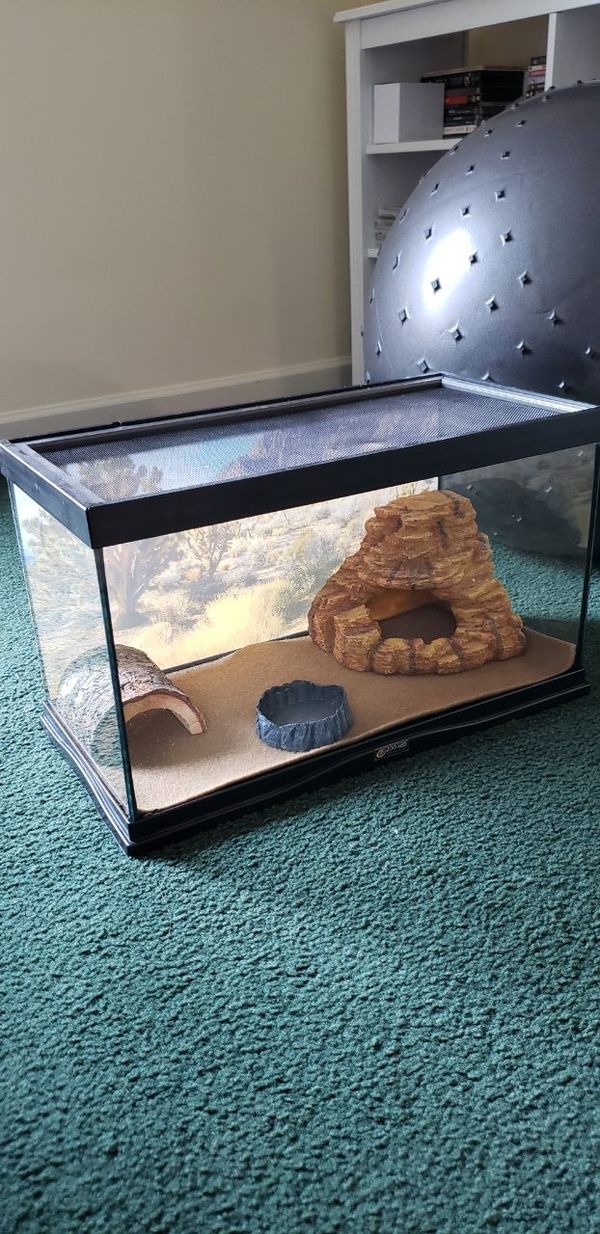 Reptile terrarium 10 gal for Sale in Honey Brook, PA OfferUp