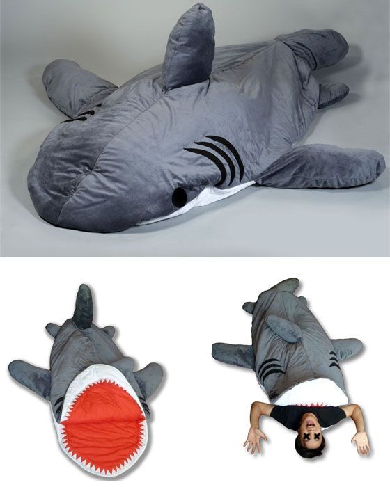 chum buddy shark