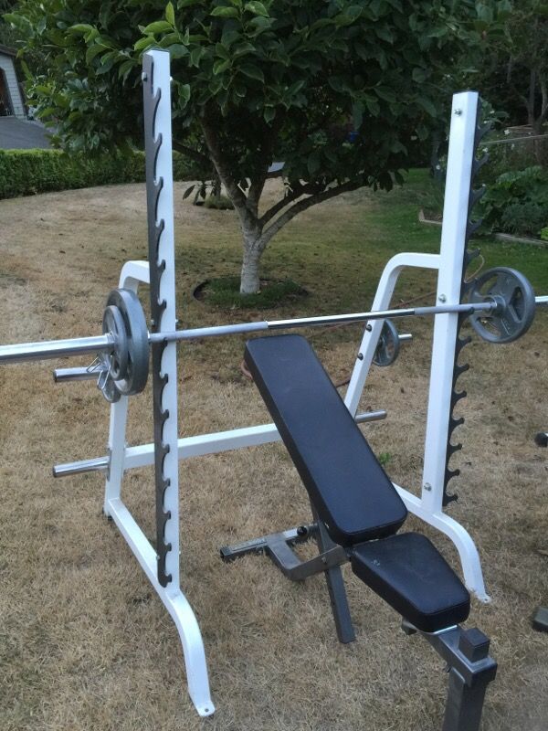 Parabody bench online press