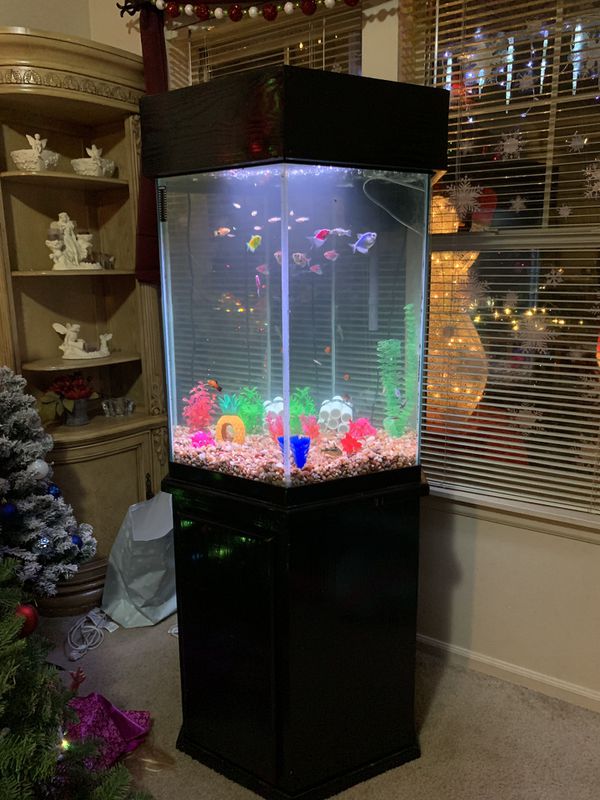 55 gal Hexagon fish tank for Sale in Graham, WA OfferUp