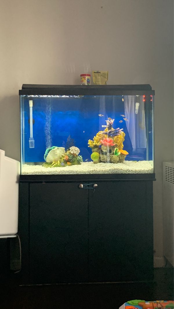45 gallon aquarium / fish tank for Sale in Morton Grove