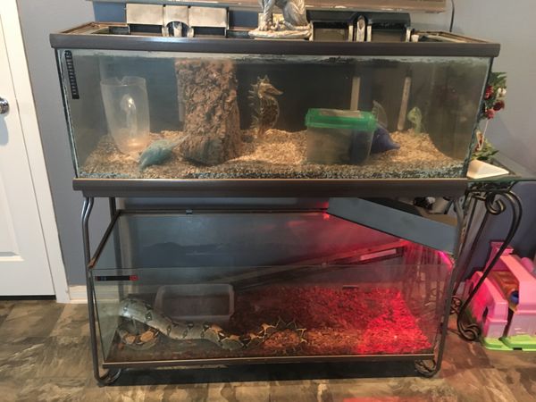 80 gal Reptile Tank for Sale in Perris, CA - OfferUp