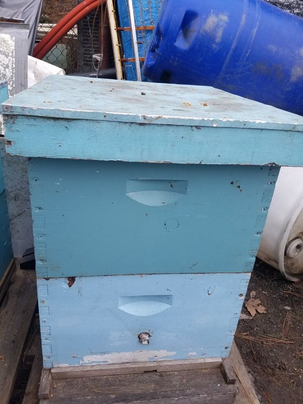 Bee hives for Sale in Worcester, MA OfferUp