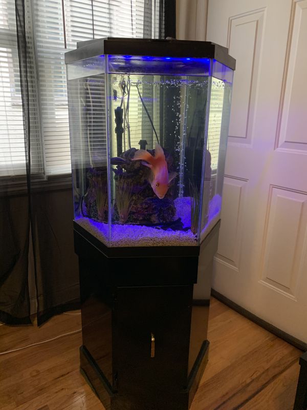 Aquarium 35 Gallon (empty) for Sale in West New York, NJ - OfferUp