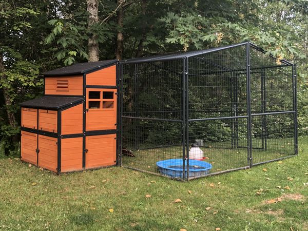 Chicken coops tractor supply Lake Ann Homeowners Fighting For Pet Chickens