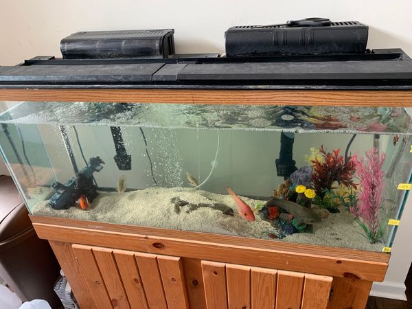 65 gallon Fish tank and stand for Sale in Sicklerville, NJ - OfferUp