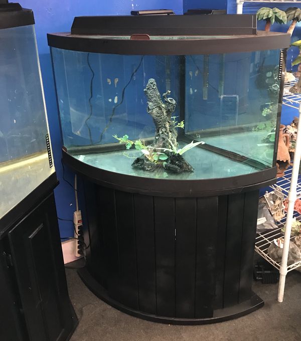 54 gallon corner Bowfront Aquarium fish tank complete set up 300 for