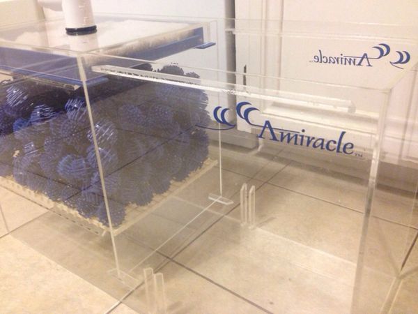 Amiracle Wet Dry Sump Filter For Large Aquariums Fish Tank For Sale In Austin Tx Offerup,Canned Tomatoes Italian