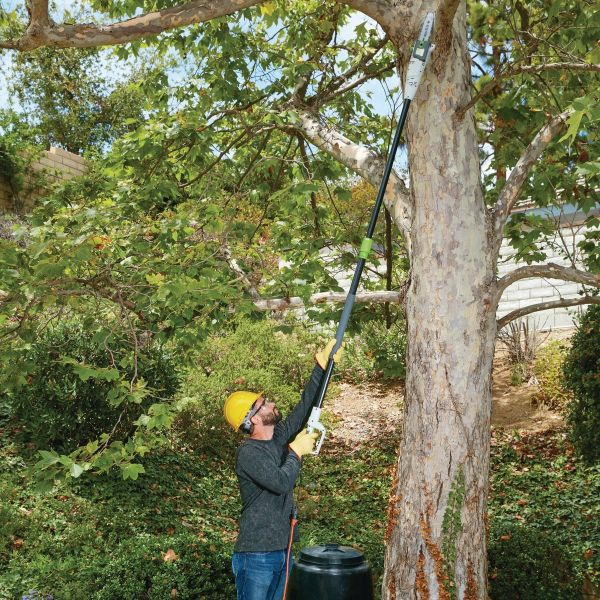 Harbor Freight Extendable Pole Saw Chainsaw Landscaping tree trimming ...