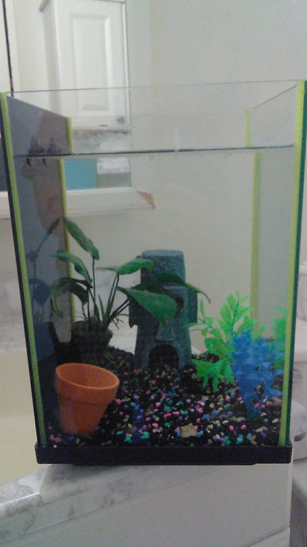walmart black light fish tank
