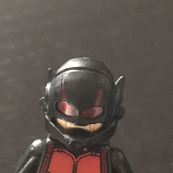 lego ant man hank pym