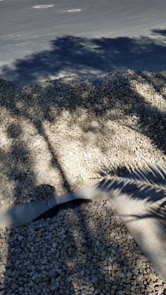 Decorative rock for Sale in Las Vegas, NV OfferUp