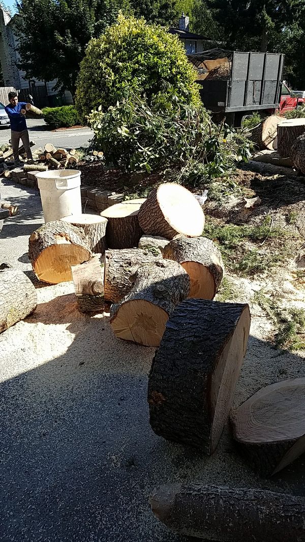 Free firewood for Sale in Federal Way, WA - OfferUp