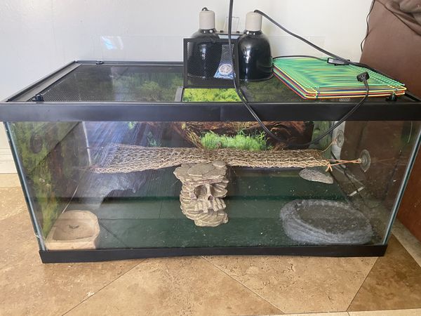 50 gallon - Bearded Dragon Tank and accessories for Sale in South Gate ...