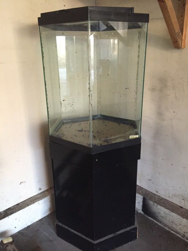35 gallon octagon fish tank for Sale in Lake Bluff, IL
