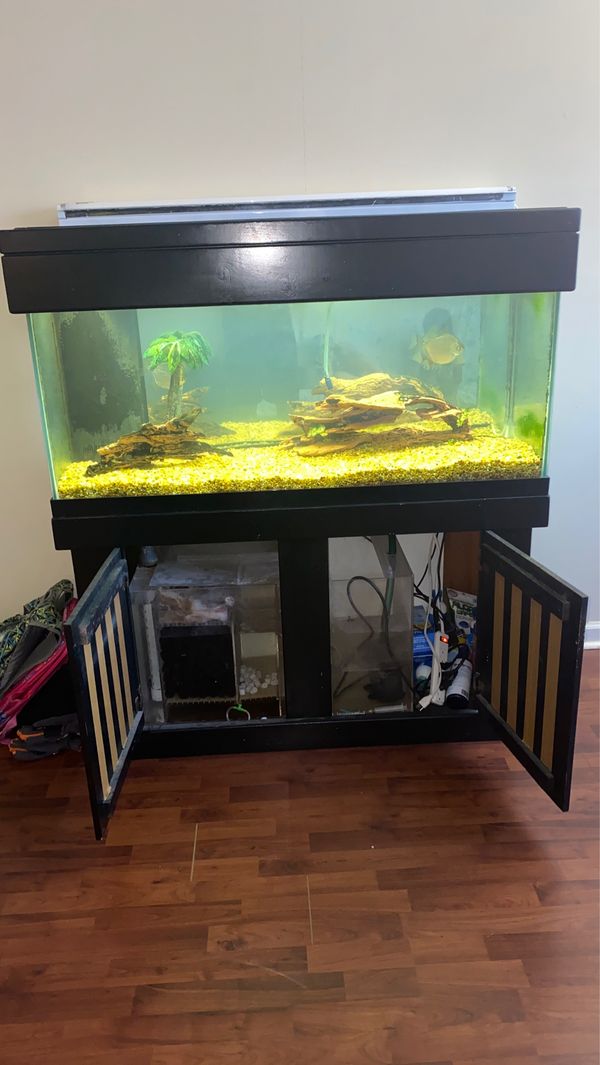 90 gallon fish tank