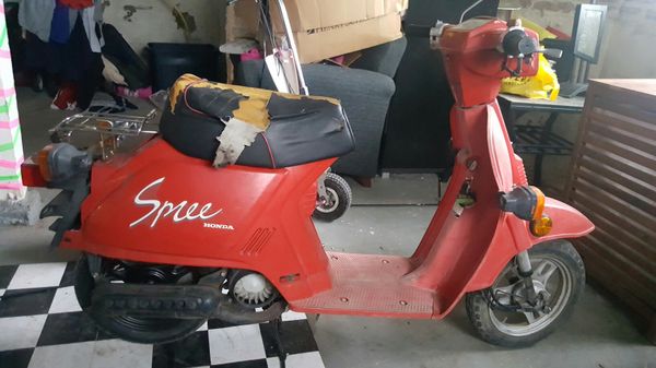 honda spree for sale