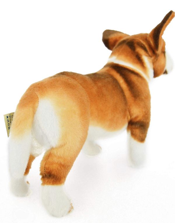 ty corgi plush