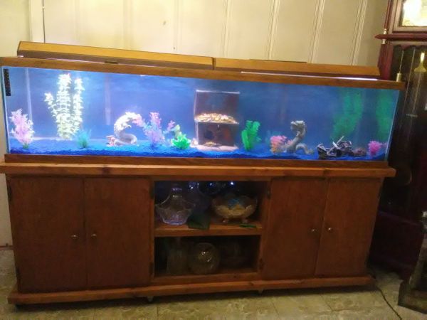 110 gallon aquarium complete for Sale in Houston, TX - 66362877bb1e4f88b8444cD70e72c267