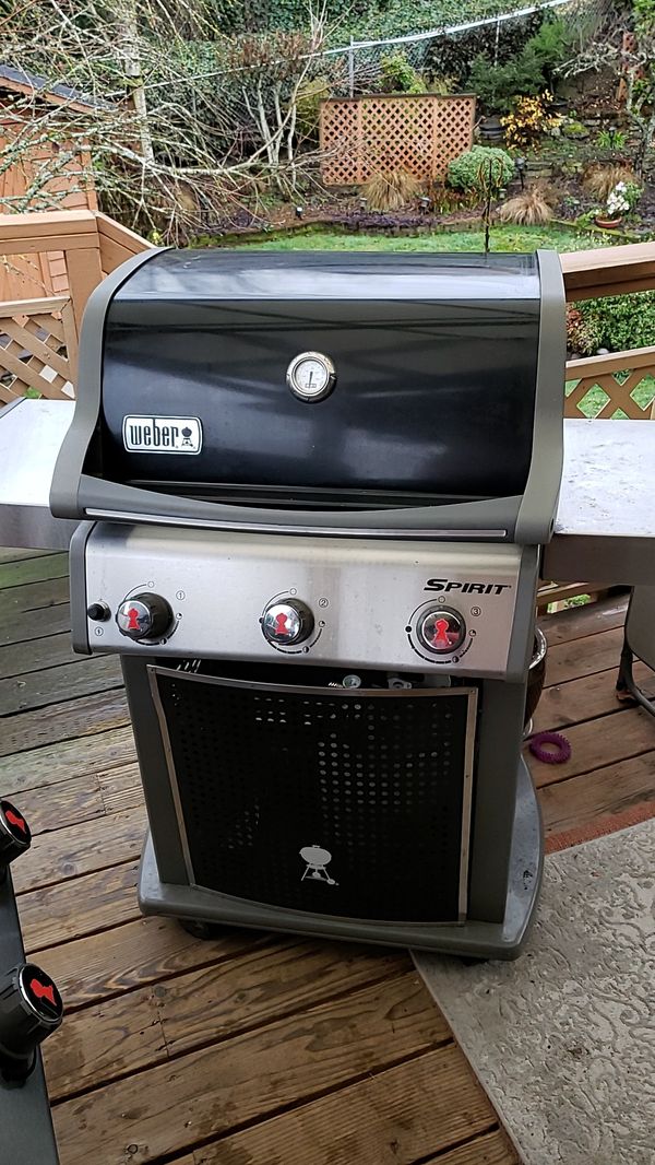 weber spirit 3153