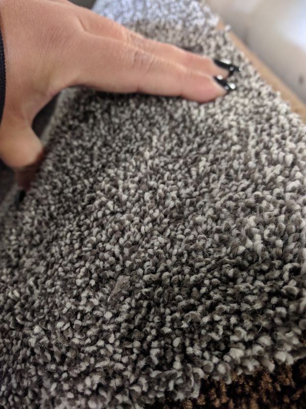 Beautiful speckled carpet on sale for2.49 sqft for Sale in Plano, TX