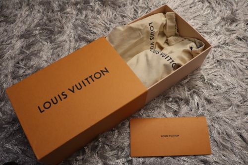 Brown Louis Vuitton Slides  Natural Resource Department