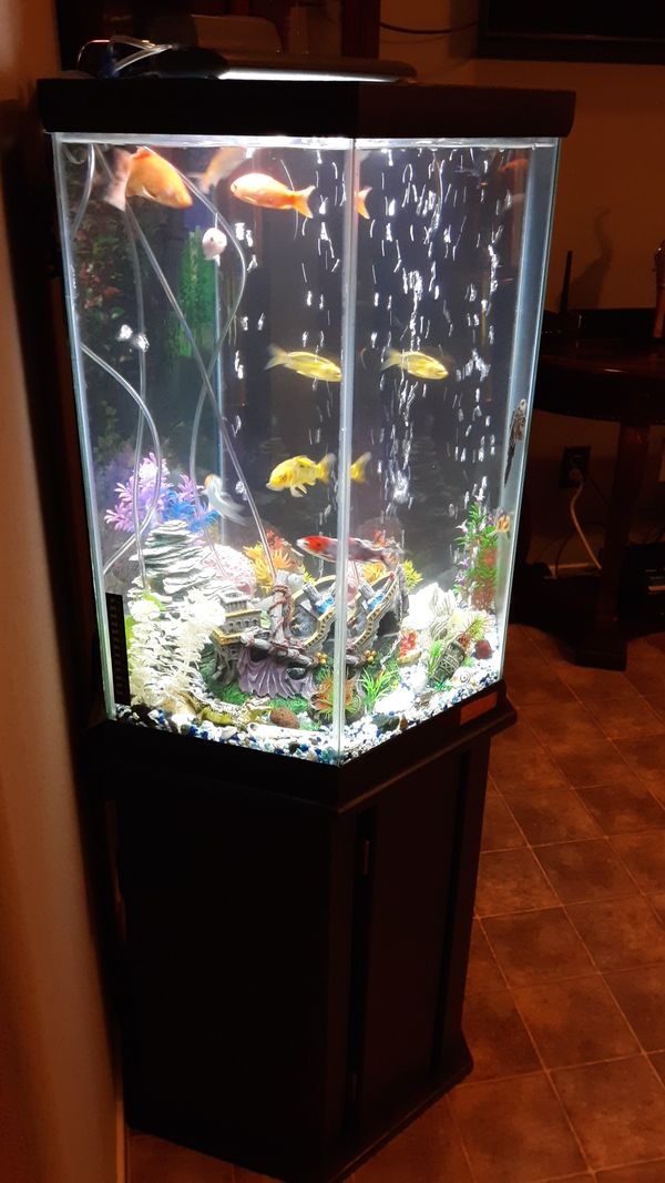 Hexagon Fish Tank Aquarium for Sale in Las Vegas, NV OfferUp