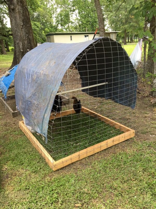Rooster cages for Sale in Breaux Bridge, LA OfferUp