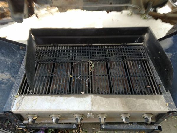 Master Forge Event 6 Burner Grill For Sale In Bakersfield Ca Offerup,Orchid Flower