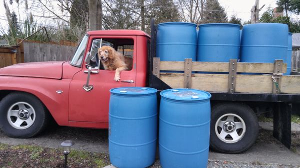 rain barrels for sale in seattle, wa - offerup