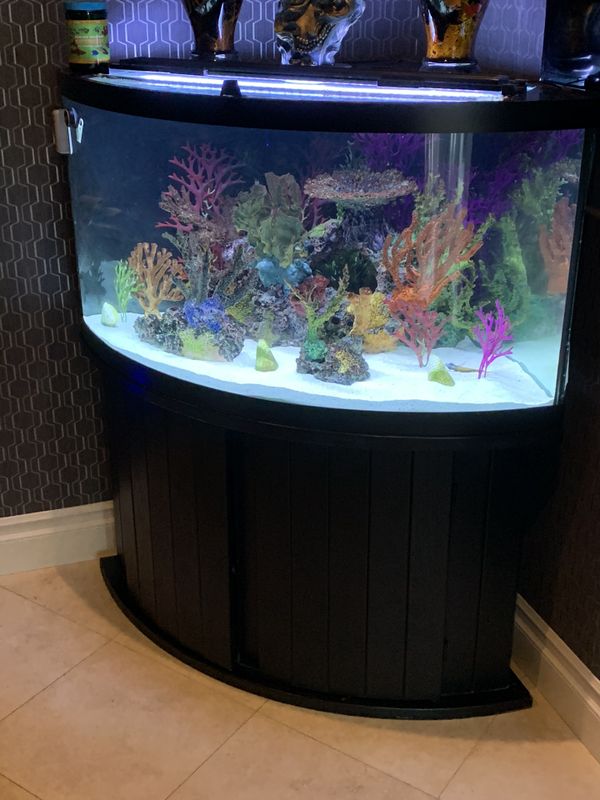 100 GALLON GLASS CORNER AQUARIUM for Sale in Calabasas, CA OfferUp