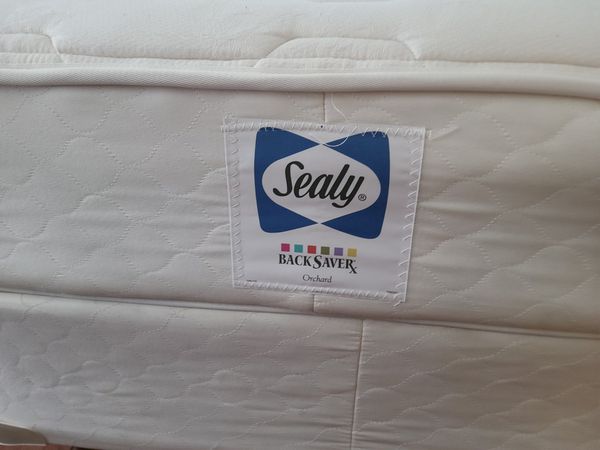 sealy backsaver dainty firm mattress review
