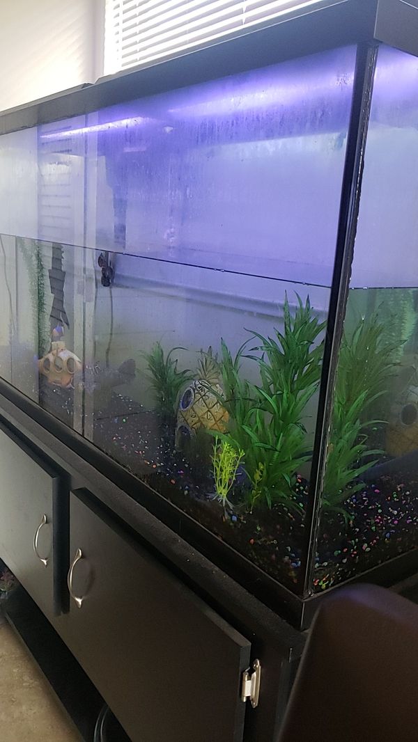 60 gallon fish tank and stand for Sale in Phoenix, AZ - OfferUp