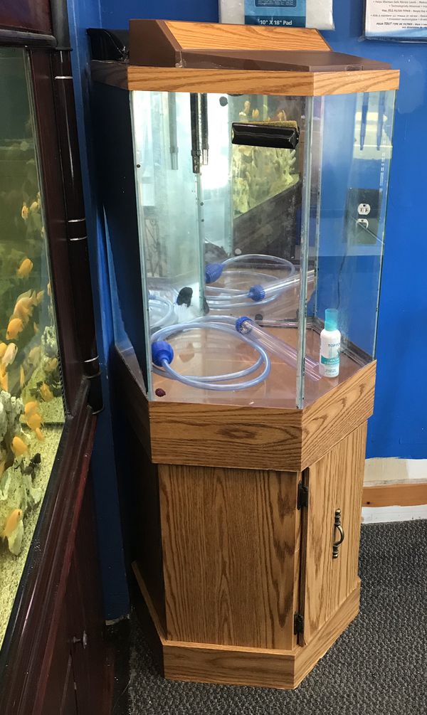 35 gallon Hexagon Aquarium fish tank complete 200 for