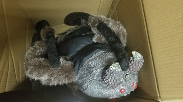 Giant 5 foot spider halloween prop for Sale in Reno, NV - OfferUp