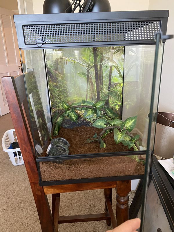 Reptile Terrarium for Sale in Peoria, AZ - OfferUp