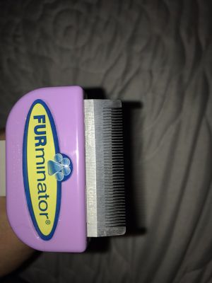 New And Used Shed For Sale In El Paso Tx Offerup