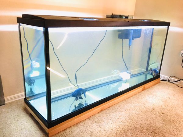 Fish Tank Aquarium 50 Gallon Top Fin Like New 2019 for Sale in El ...