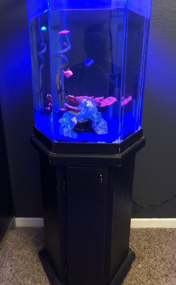 40 gallon octagon fish tank for Sale in Santee, CA OfferUp