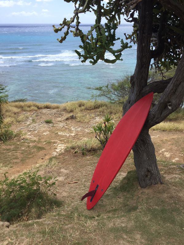 custom hand shaped surfboard for Sale in Honolulu, HI OfferUp