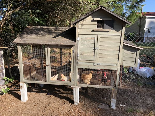 Chicken Coop And Chickens For Sale In Ocala Fl Offerup