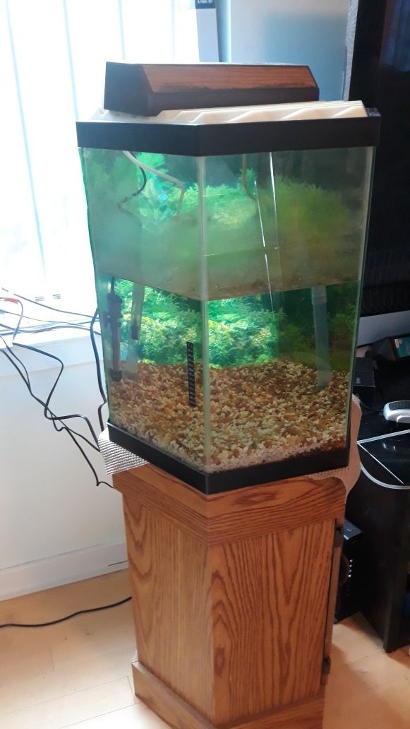 Hexagon fish tank with stand for Sale in Philadelphia, PA OfferUp