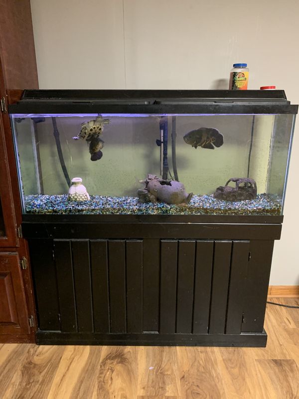 55 gallon fish tank for Sale in Parma, OH - OfferUp